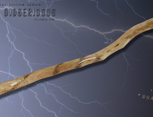 Didgeridoo Tesla « QUAZAR »